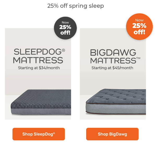 sleepdog mattress for sale