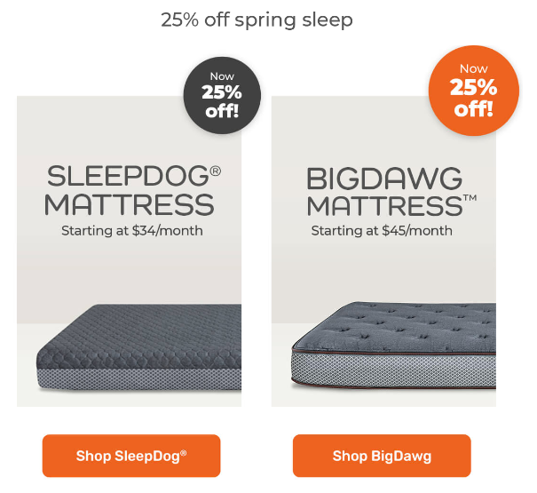 Where to buy BigDawg Truck Mattress?